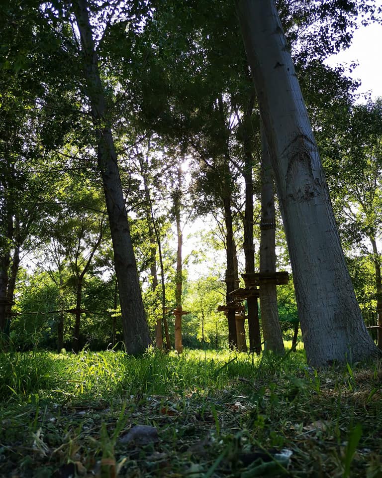 arrampicate forestali