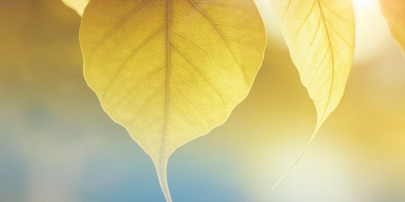 cremation services in La Mirada CA
