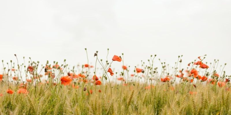 cremation services in La Mirada, CA