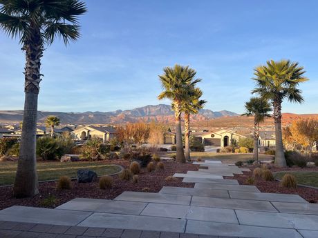 A row of palm trees in a park with mountains in the background