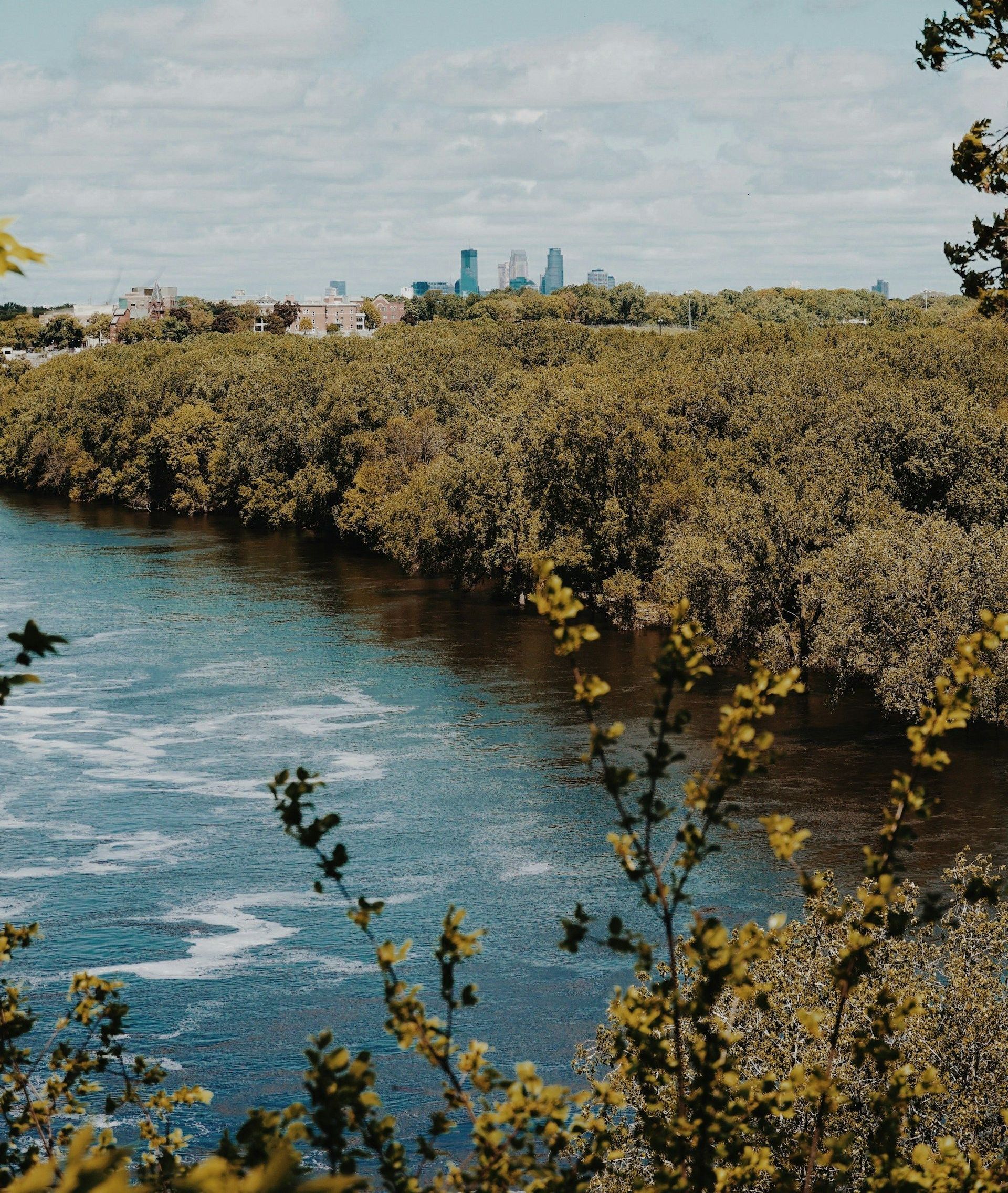 River winding through lush trees with a city skyline in the distance under a cloudy sky.