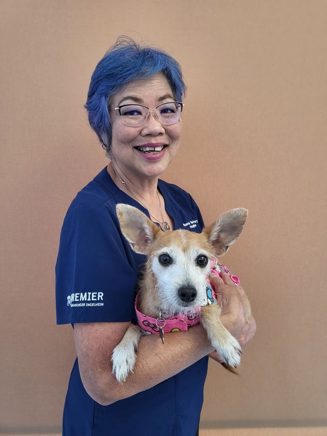 Ohana Veterinary Hospital Inc | Veterinarian Honolulu, HI