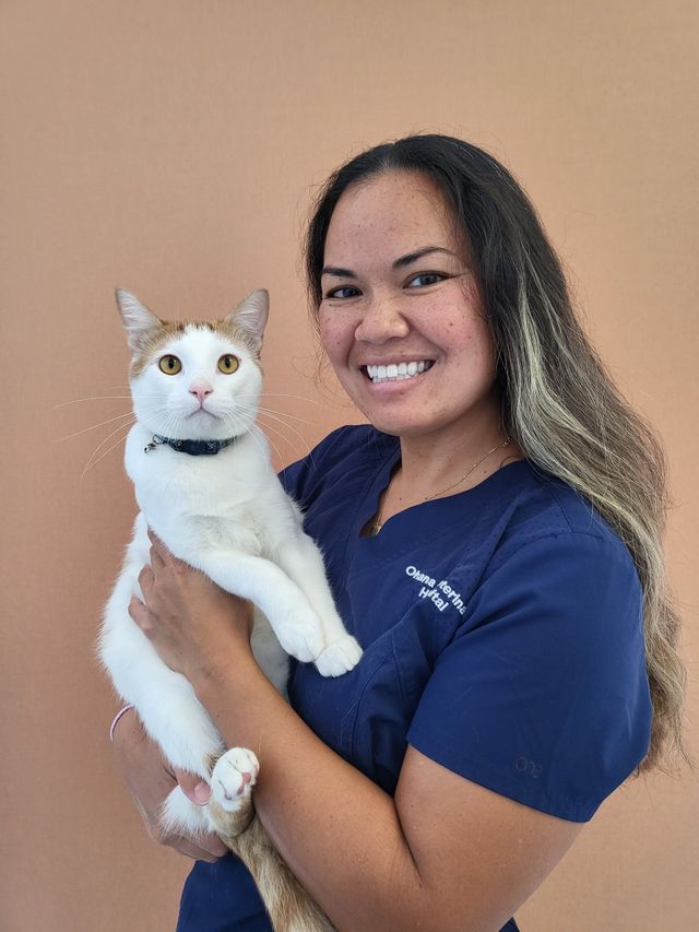 Ohana Veterinary Hospital Inc | Veterinarian Honolulu, HI