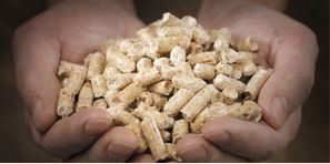 Wood pellets in palm of hand