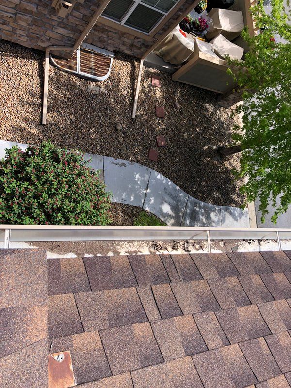 View of a brown shingled roof with a gutter filled with debris; ground level view has a walkway and bushes.