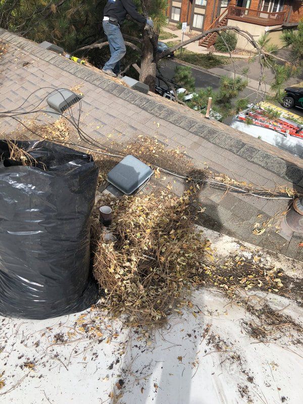 Man on a roof, clearing debris. Black trash bag, gray roof, dead leaves.