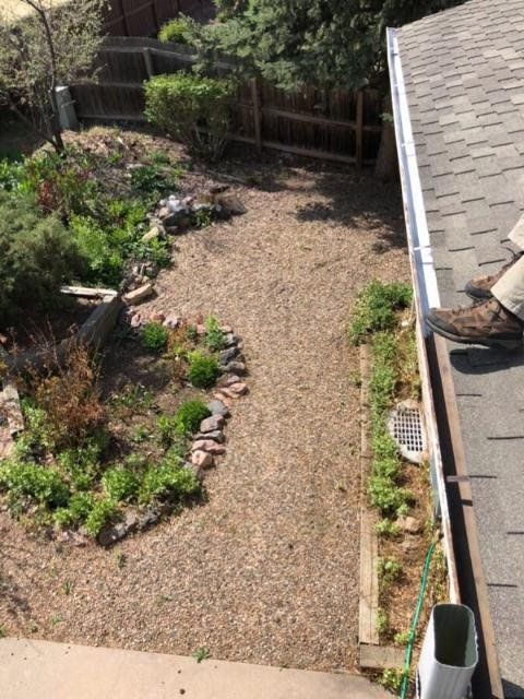 Backyard with a gravel path, a garden bed, and a wooden fence. A person's boot is visible on a roof.