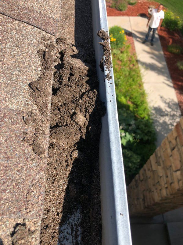 Dirt and debris overflowing from a gutter on a brown roof, with a person standing nearby on a sidewalk.