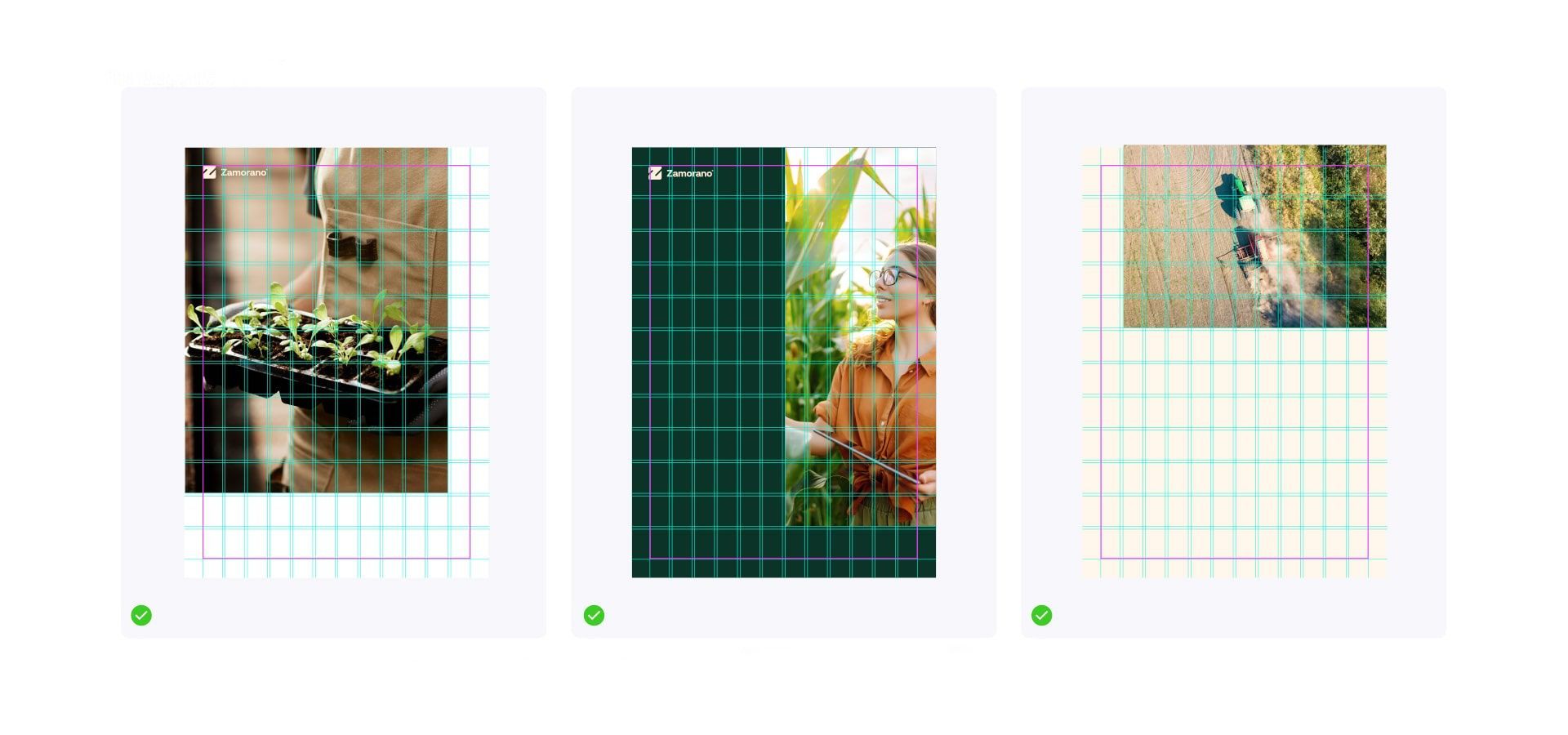retículas para diseño de zamorano
