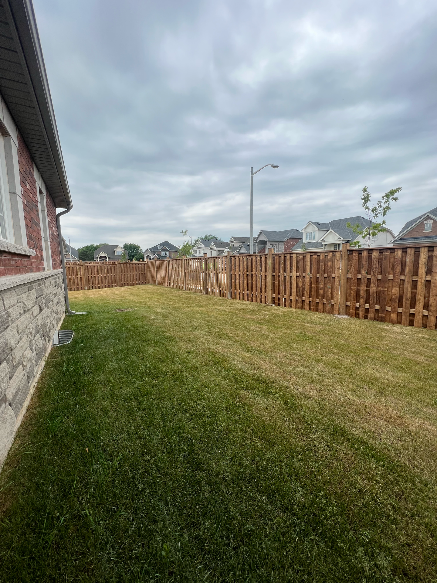 A backyard with a wooden fence and a lush green lawn.