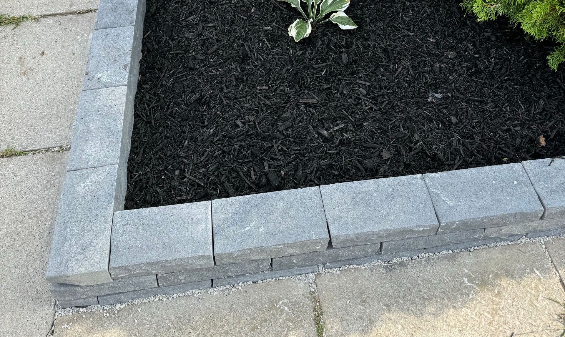 A planter with black mulch and a brick border on a sidewalk.
