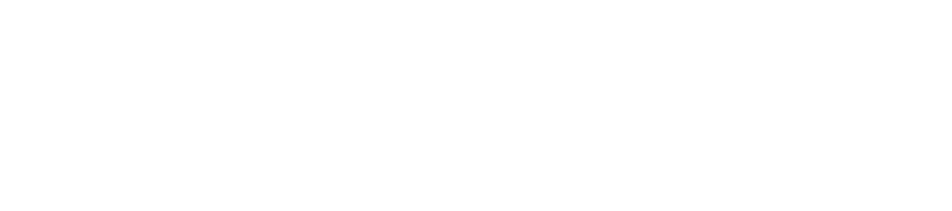 Volkswagen caravelle logo text