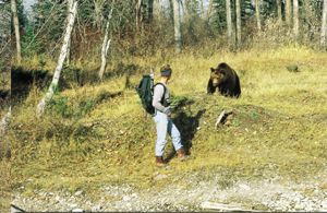 a man with a backpack is standing next to a bear in the woods .