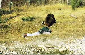 a person is laying on the ground with a dog standing next to them .