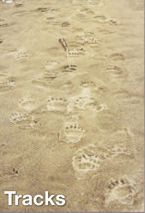 Tracks