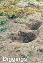 Diggings