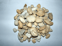 Brown Crush n Run, Newport News, VA