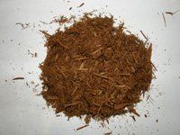 Cedar, Newport News, VA