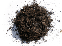 mushroom compost, Newport News, VA