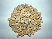 Brown #7 Pea Gravel, Newport News, VA