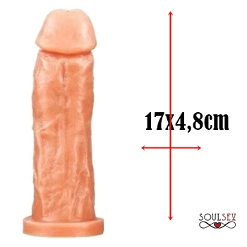 protese penis de borracha dildo penetrador clone falo consolo masculino sex shop exotic house em fortaleza
