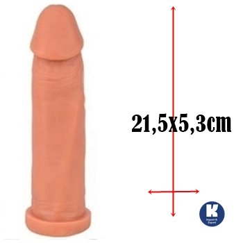 protese de penis de borracha dildo falo penetrador clone consolo sex shop exotic house em fortaleza

