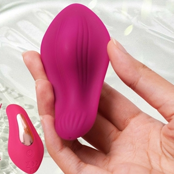 vibrador de calcinha butterfly egg usb por aplicativo sex shop exotic house em fortaleza
