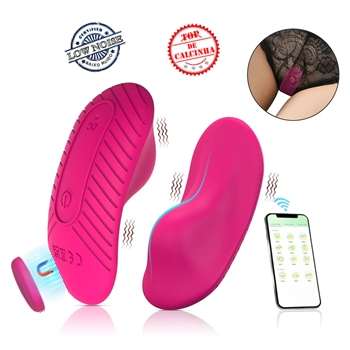 vibrador de calcinha magnetica butterfly egg usb por aplicativo sex shop exotic house em fortaleza
