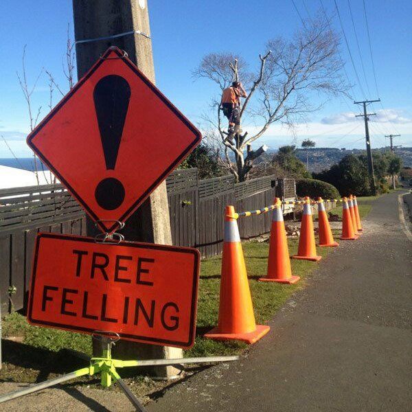 Warning sign for tree felling