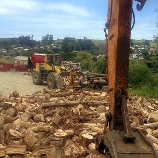 Firewood processing in Dunedin