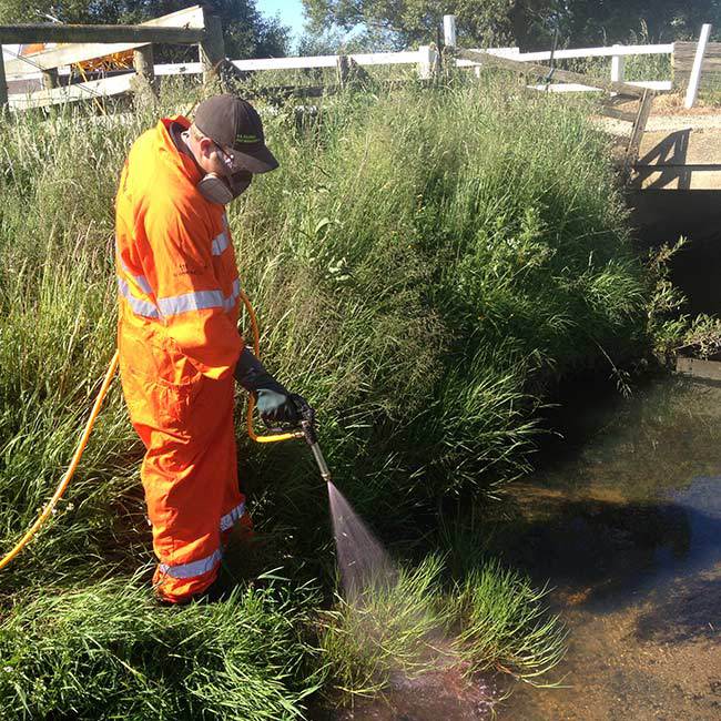 Aquatic and water way spraying in Dunedin