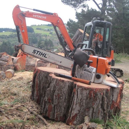 Forestry work in Dunedin