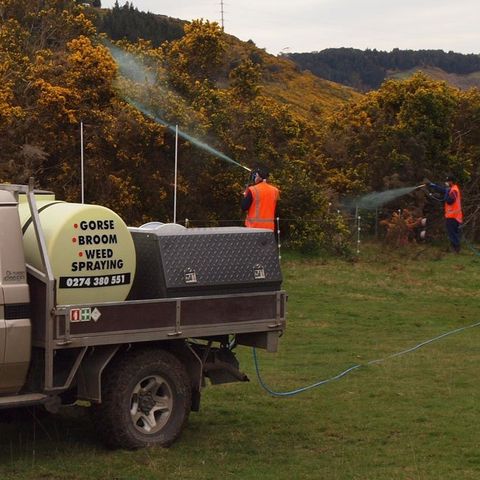 Gorse and broom spraying services in Dunedin