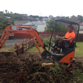 Section clearing in Dunedin