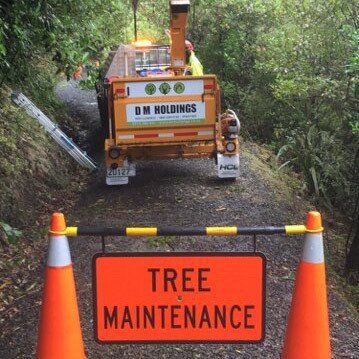 Specialist tree care in Dunedin