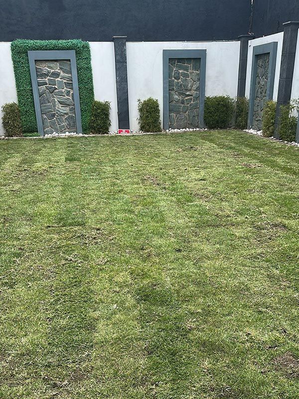 PALAPAS Y JARDINES