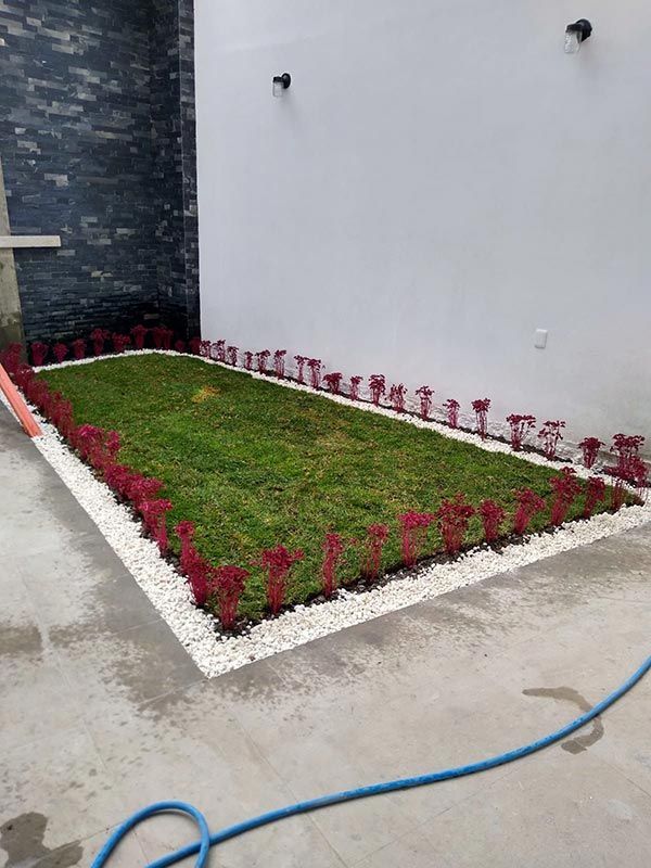 PALAPAS Y JARDINES