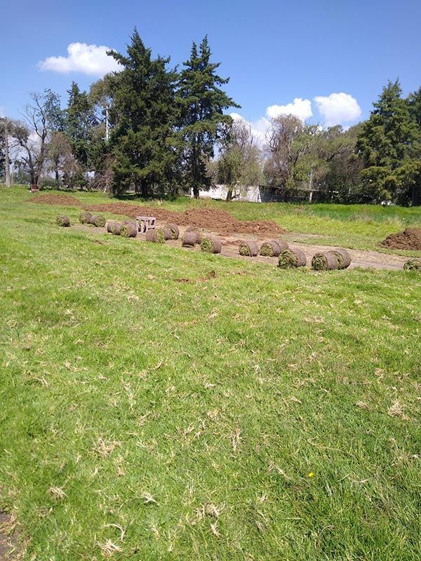 PALAPAS Y JARDINES