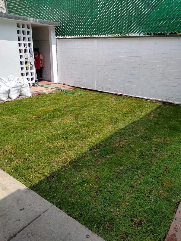 PALAPAS Y JARDINES