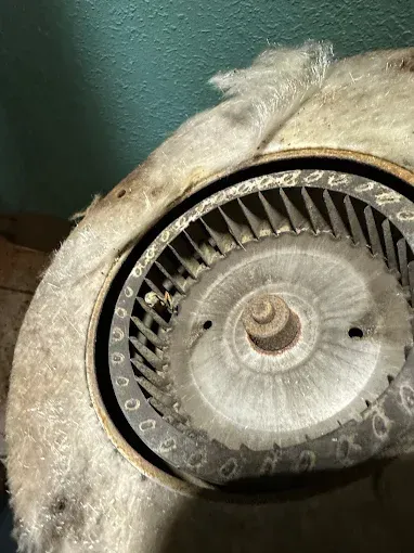 Close-up of a dirty blower fan with blades in a cylindrical housing, surrounded by insulation.