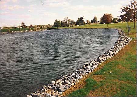 A calm lake bordered by rocks and grass. Trees and blue sky in the background on a sunny day.