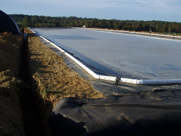 A large agricultural pond lined with black plastic, with a grassy embankment, and a forested background.