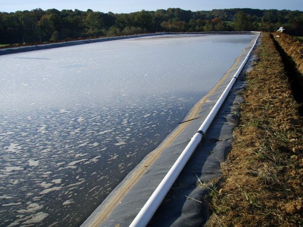A rectangular pond covered in a dark liner with a white pipe along one edge. The pond is surrounded by brown earth.
