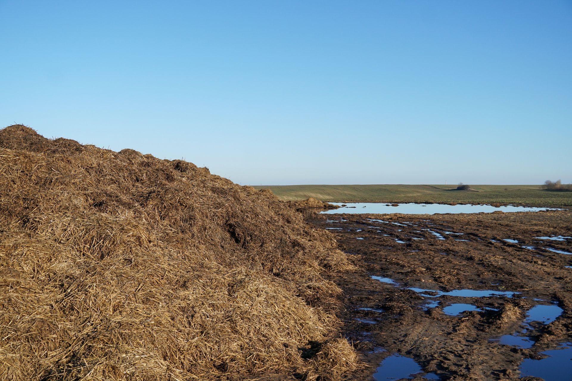 A large pile of brown organic matter next to muddy ground and a body of water under a blue sky.