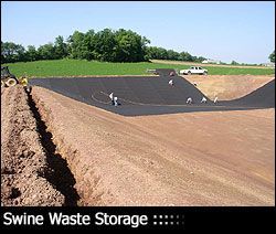 A large, earthen swine waste storage lagoon with a black liner being installed by workers in a rural setting.