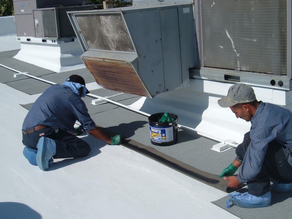 Two men are working on a roof with a bucket of paint in the foreground