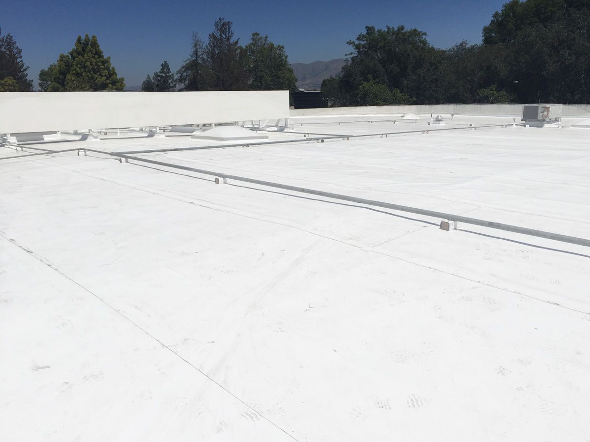 A white roof with trees in the background on a sunny day.