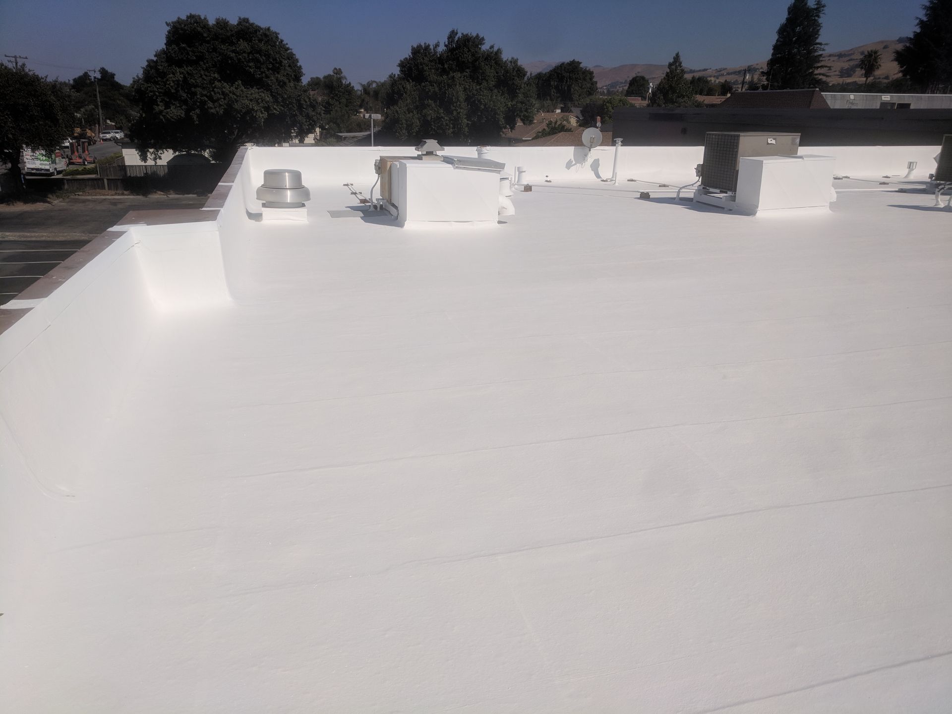 A white roof with a lot of trees in the background