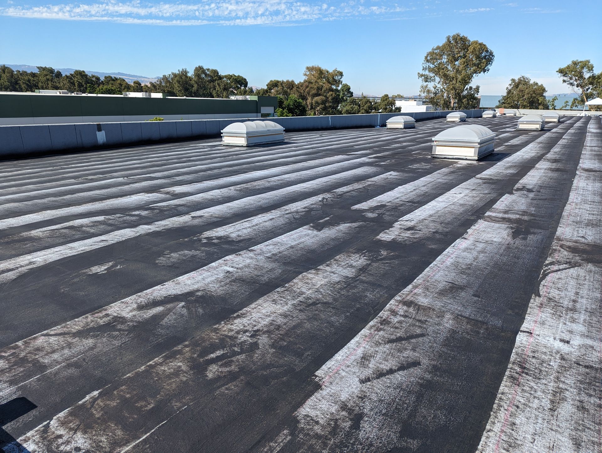 A roof with a lot of skylights on it
