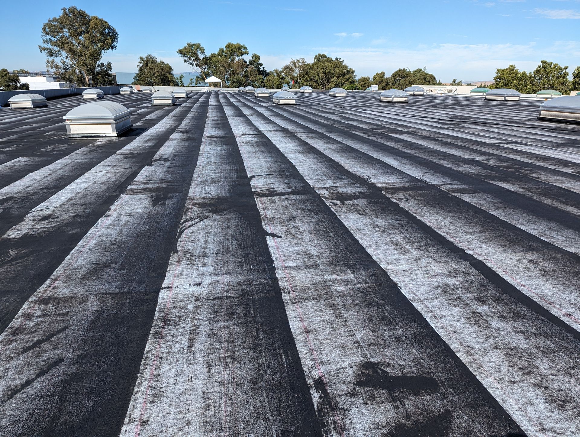 A roof with a lot of lines and trees in the background